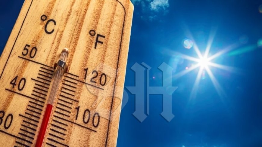 Hittegolf in Nederland: nieuw temperatuurrecord op 1 juli