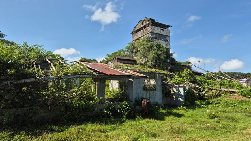 Ontwikkeling vraagt om meer dan geld alleen