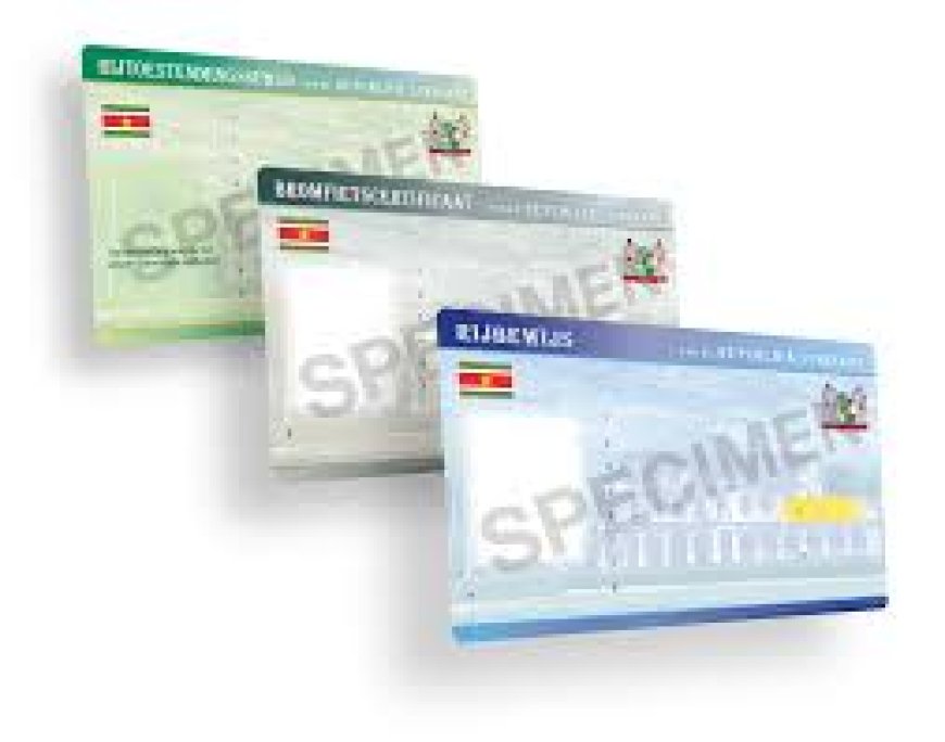 KPS neemt vandaag online portaal rijbewijzen in gebruik