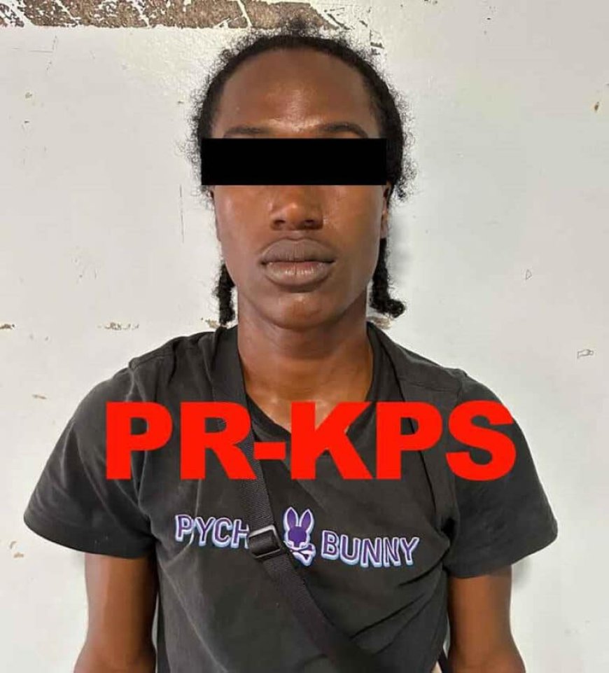 Drie verdachten aangehouden; twee heengezonden