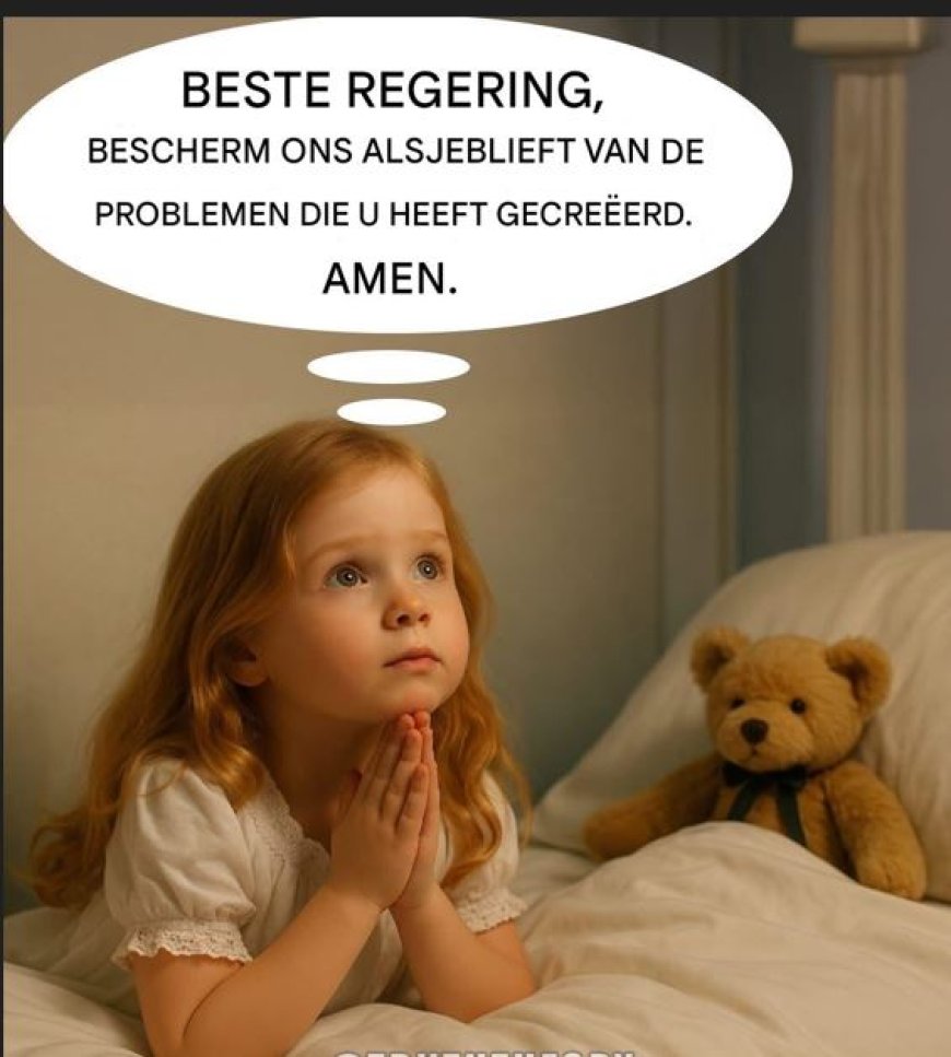 “Help! We verdrinken in uw oplossingen!”