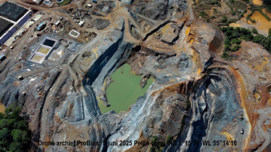 MILIEUAUTORITEIT FAALT