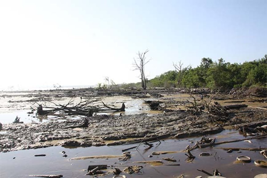 Zeespiegel stijgt, land verdwijnt: Suriname vecht voor zijn kustlijn