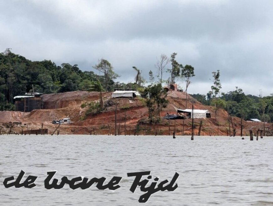 NMA doet onderzoek naar ‘gold dressing agent Jin Chan’