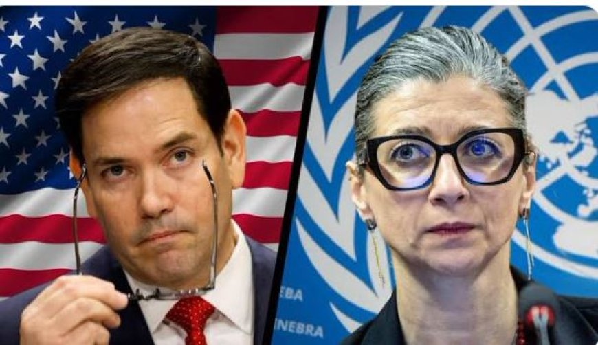 VS kondigt sancties aan tegen VN-rapporteur Albanese