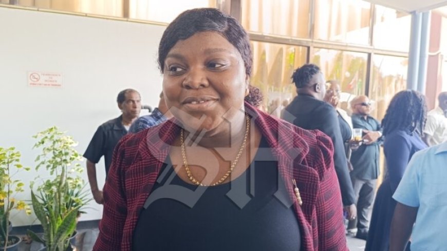 Minister Emanuël stapt voorlopig uit actieve politiek