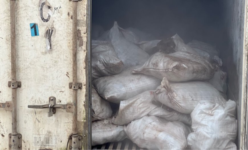 Douane Nigeria onderschept container met ruim 10.000 geslachtsdelen van ezels