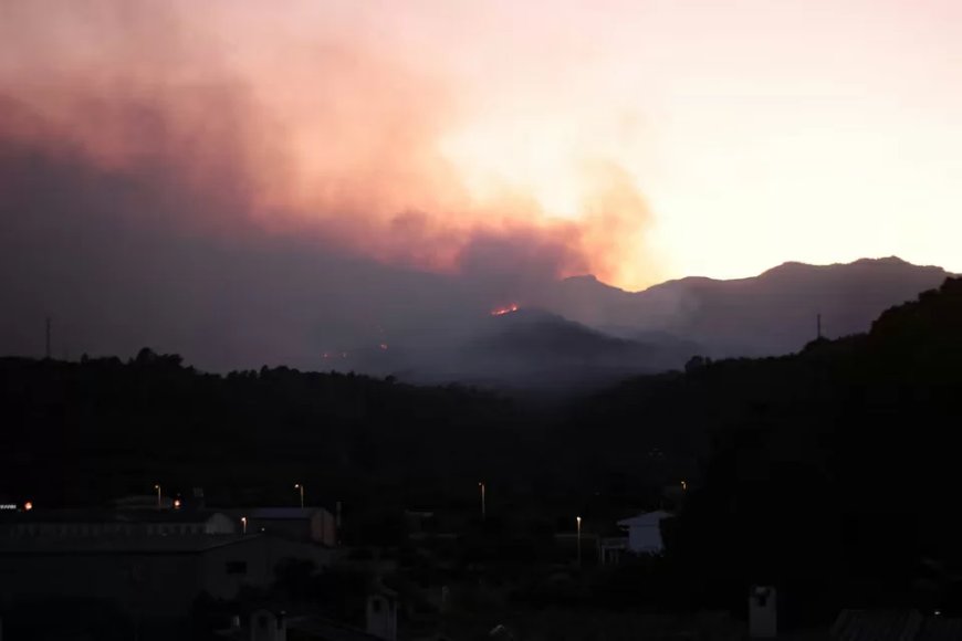 Bosbranden teisteren Zuid-Europa: waarom het risico toeneemt