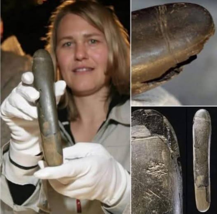 WIST U DAT: In Duitsland een 28.000 jaar oude stenen fallus is gevonden?