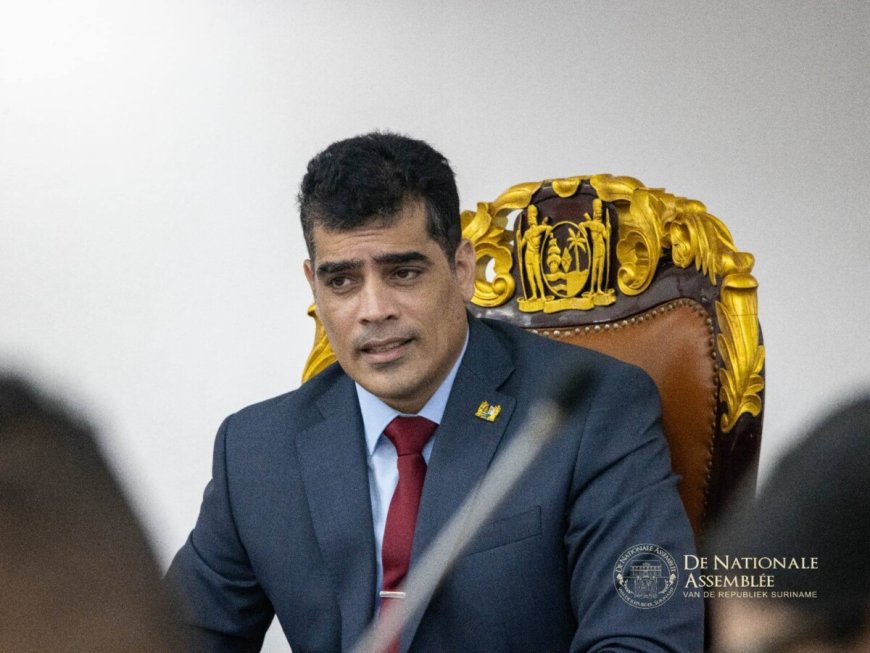 Nieuwe DNA-voorzitter Adhin wil daadkrachtiger en maatschappelijk betrokken parlement