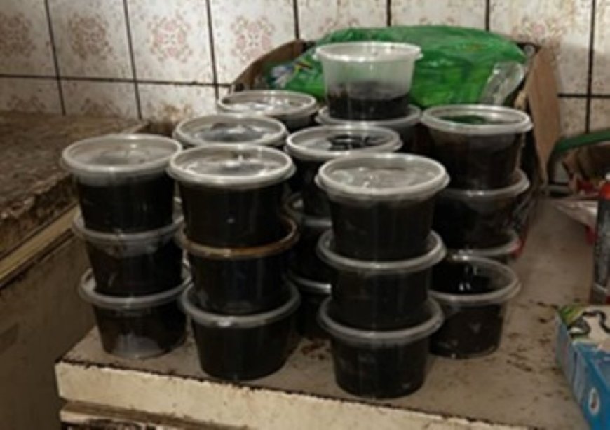 OM: Twee buitenlanders opgepakt voor handel in producten van bedreigde diersoorten jaguar en 