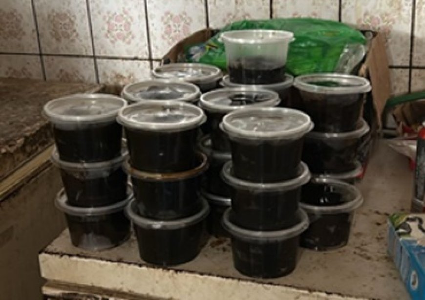 Buitenlanders vast voor illegale handel bedreigde diersoorten