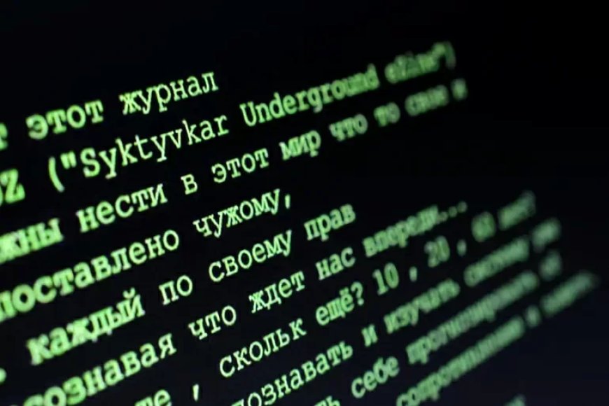 Pro-Russisch cybernetwerk opgerold