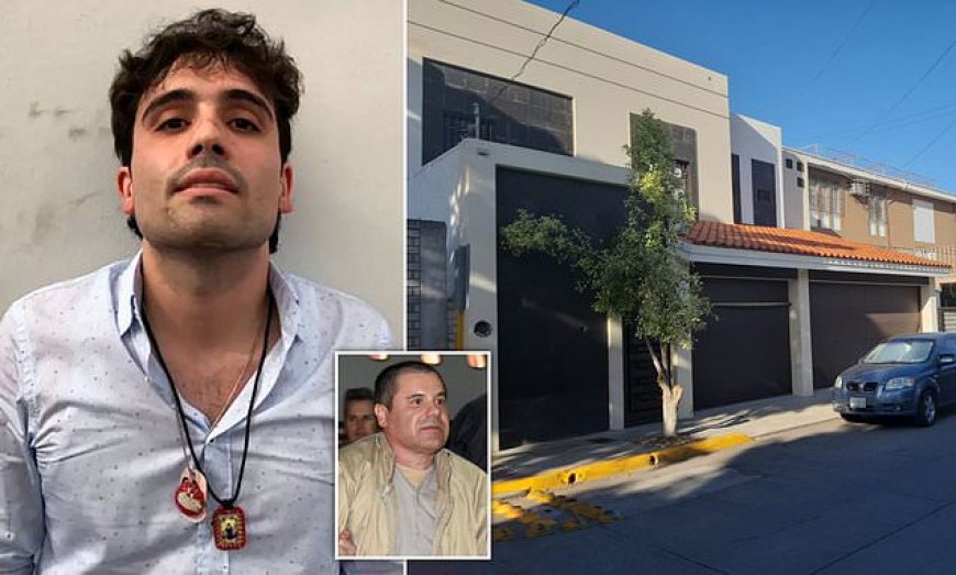 Mexico mogelijk opgeschud: zoon van El Chapo wil alles onthullen over corrupte ambtenaren