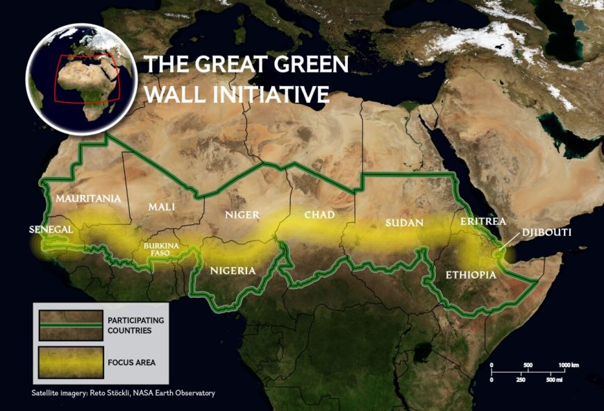Meer dan bomen planten: het moderne mozaïek van Afrika’s Great Green Wall