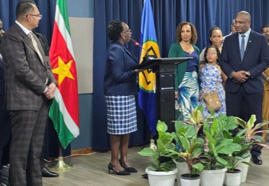 Bibis gaat verder als Bis