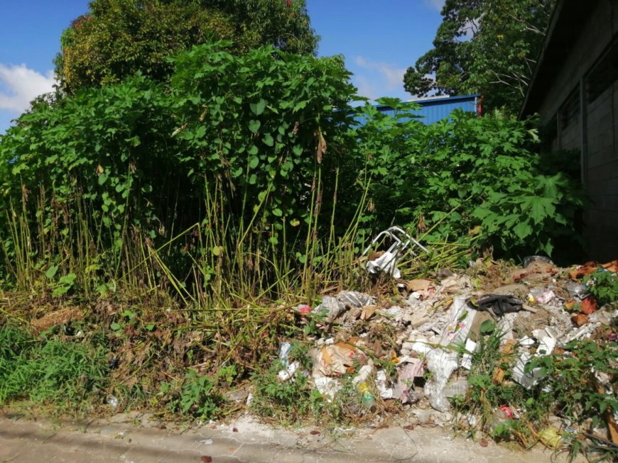 Lege percelen blijven een uitdaging