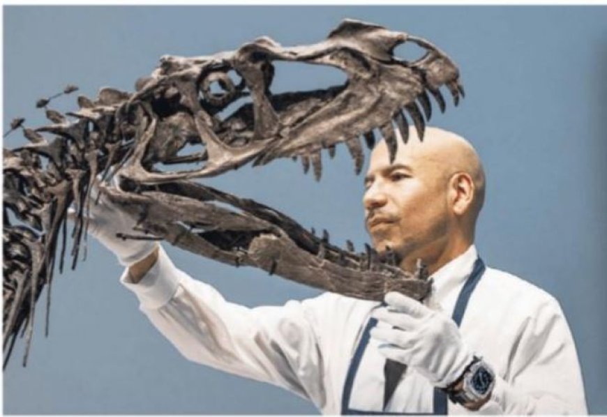 Dinosaurusfossiel levert $30,5 miljoen op bij veiling – vijf keer meer dan verwacht