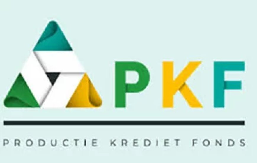 PKF breidt kredietinstrumenten uit om ondernemers beter te ondersteunen