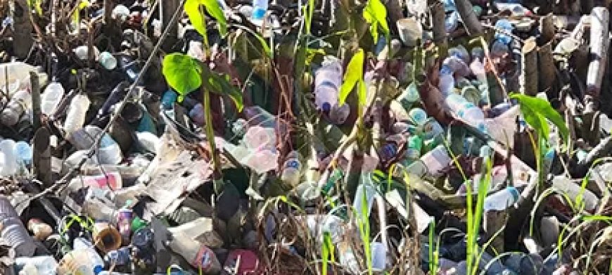 Column: Onze misbruikte godin