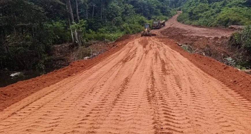 Bruggen op Weg naar Apoera hersteld