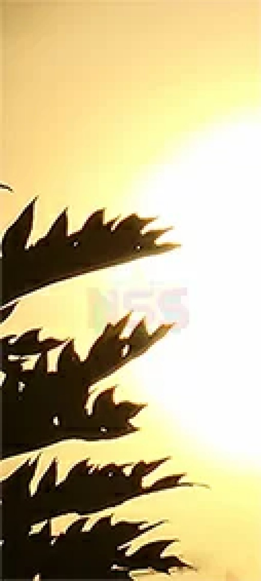 Veel zon en kans op onweer in de middag