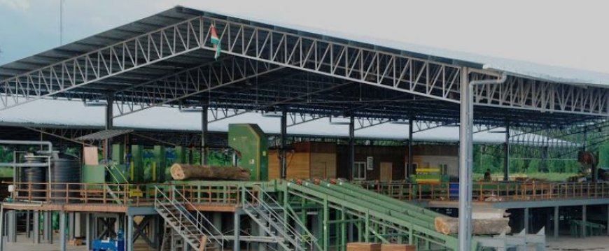 Vakbond bij Greenheart wil dat overheidsinstanties optreden tegen houtbedrijf