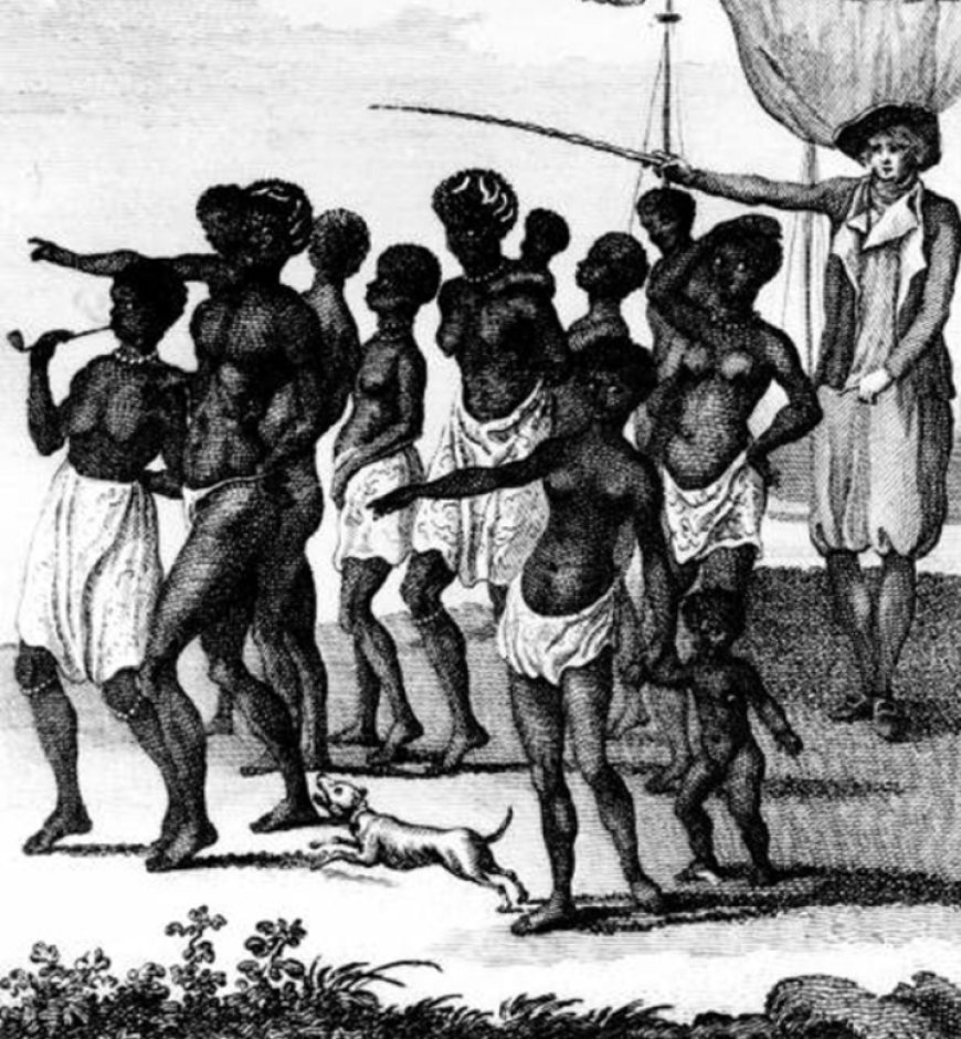 Het vak Geschiedenis herleeft: Studenten reflecteren op hun ervaring