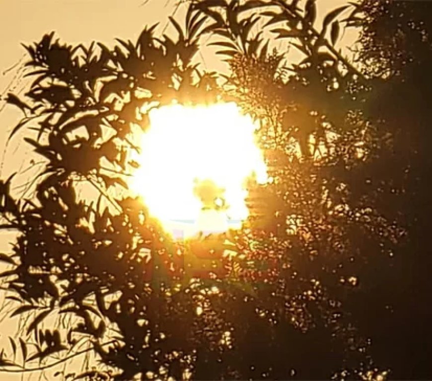 Steeds minder bewolking door de dag