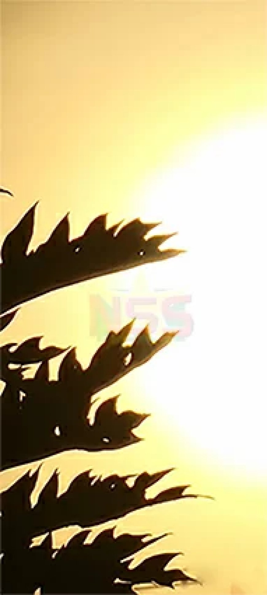 Grotendeels zonnig en helder weer