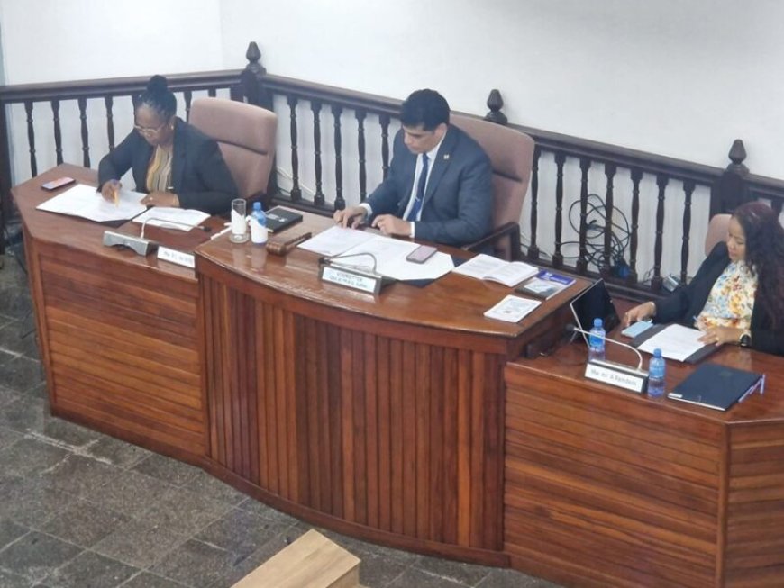 Geen quorum in DNA; nieuwe leden niet toegelaten