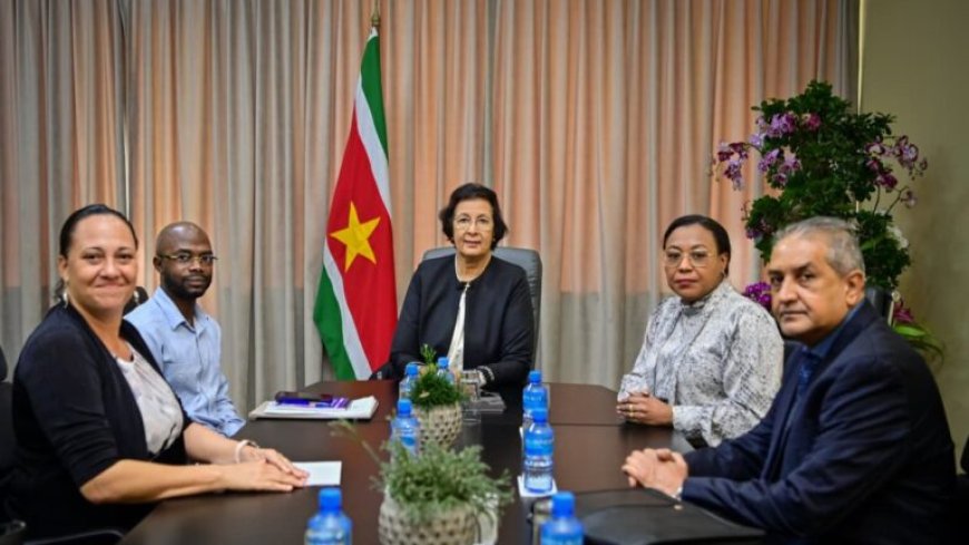 Volksgezondheid in binnenland en medicijnendistributie centraal in overleg met president