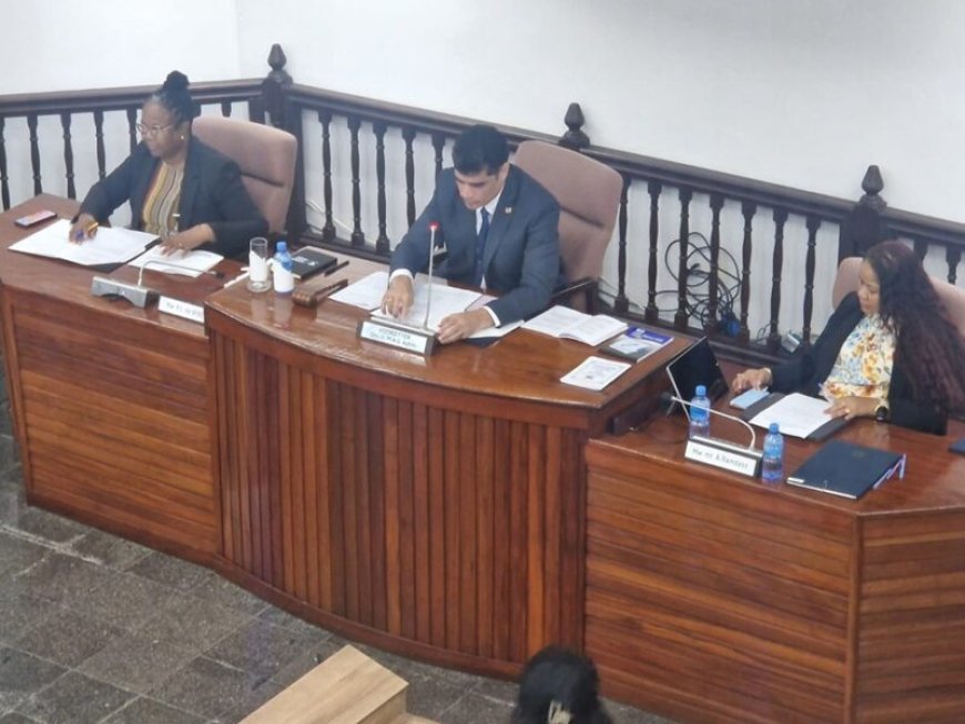 VHP-parlementariërs saboteren toelating nieuwe DNA-leden