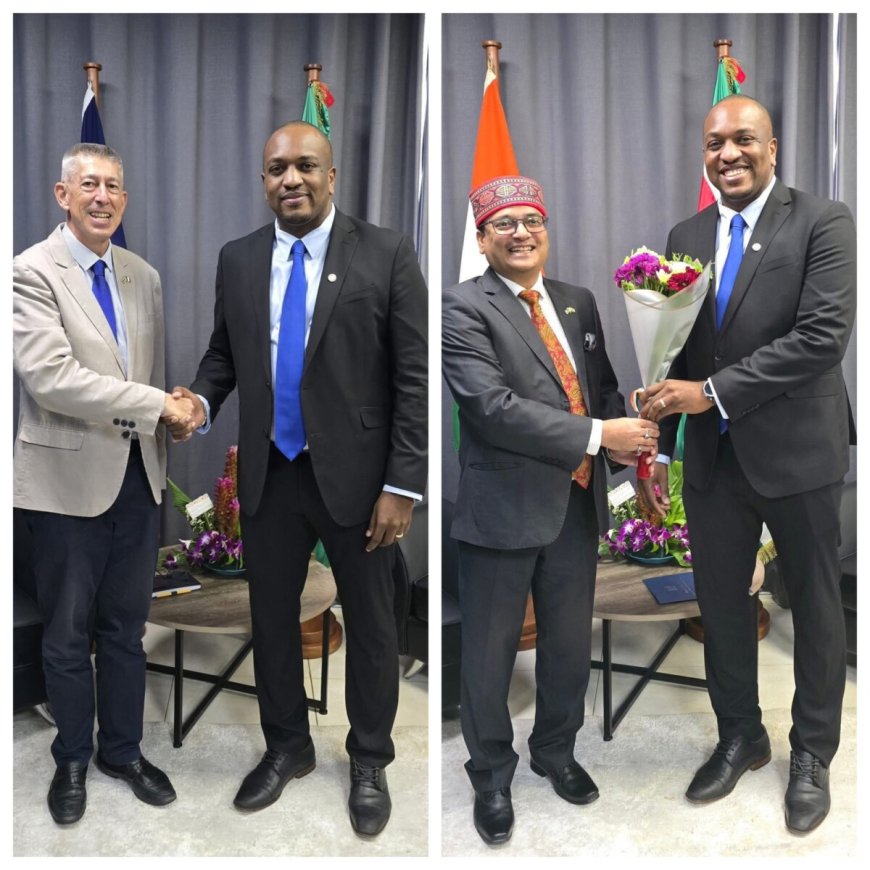 Minister Bouva ontmoet reeks vertegenwoordigers bevriende naties