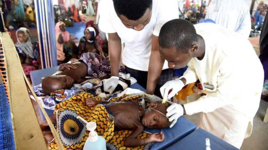 AzG: meer dan 650 kinderen in Nigeria overleden door ondervoeding