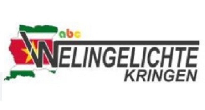 ‘Korpschef en hoofd DNV met technocraten invullen’