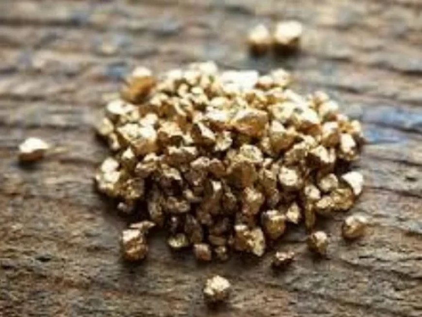 Buurtbewoners verzetten zich tegen goudverwerkingsbedrijf in woonwijk