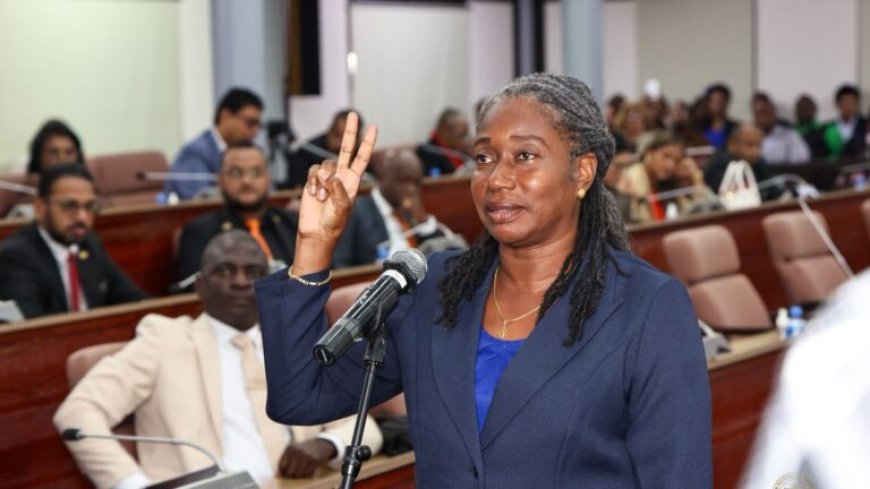 Dorothy Hoever zet dienstbaarheid voort als volksvertegenwoordiger