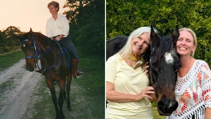 Opmerkelijk – Mokie, oudste paard ter wereld,  op 40-jarige leeftijd overleden