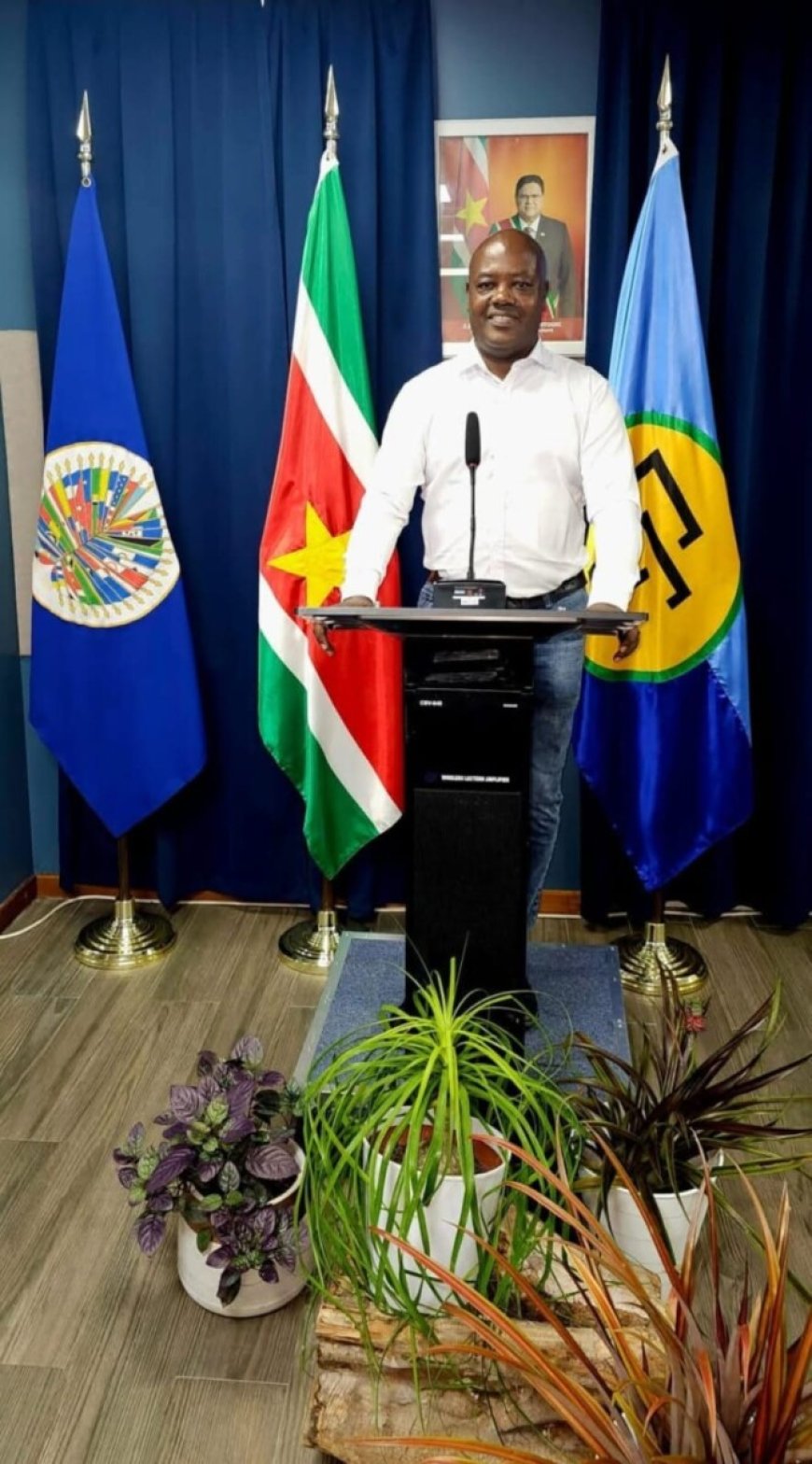 Diaspora talk: Tussen diaspora en remigratie