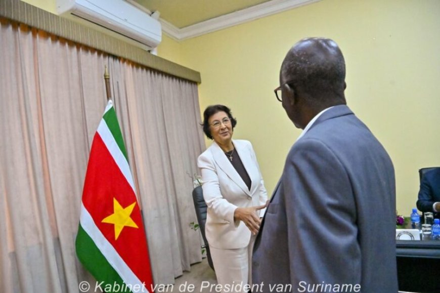 President Geerlings-Simons niet content met hoge prijzen energieprojecten