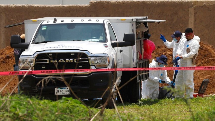 Wetenschappers in Mexico kleden dode varkens aan en begraven ze 