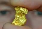 Buurtbewoners Commissaris Weythingweg hekelen vestiging Gold Grams