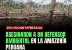 Milieuactivist vermoord in Peruaanse Amazonegebied