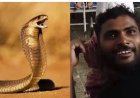 Man bijt slang terug na beten – Slang overleden, man in herstel