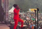 Kwaku: Al 50 jaar een zomer vol smaak en swing