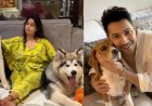 Janhvi Kapoor en Varun Dhawan tegen verwijdering zwerfhonden uit Delhi