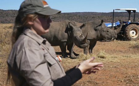 Zuid-Afrika start unieke anti-stroperijcampagne