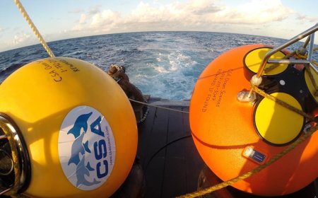 Schepen gemobiliseerd voor milieuonderzoek voor de kust van Suriname