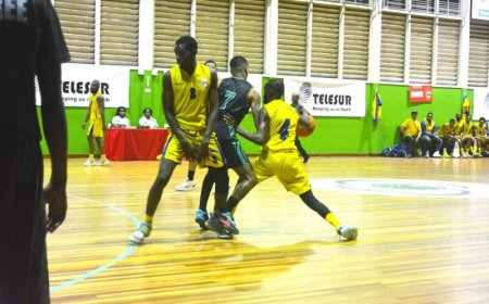 Yellow Birds pakt laatste play-offplaats mannenhoofdklasse basketbal